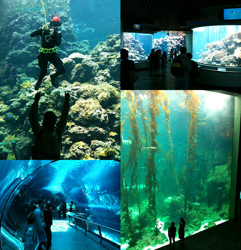 Taiwan National Museum of Marine Biology and Aquarium