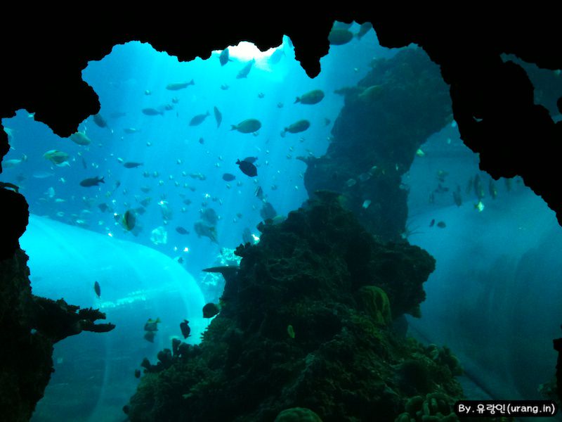 해저동굴 구역